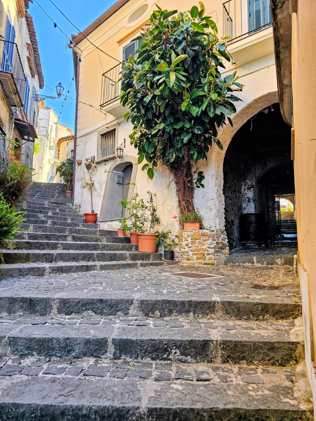 Una scalinata di pietra scura nel centro storico di Agropoli, con un grande ficus davanti a una casa chiara e un passaggio ad arco.