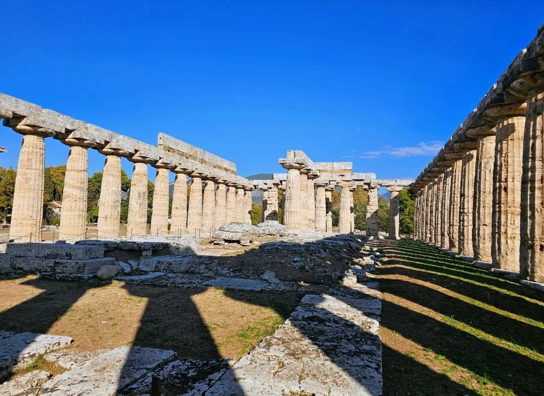 Il lungo colonnato dorico della cosiddetta Basilica di Paestum, con le fondamenta in primo piano e gli alberi dietro.