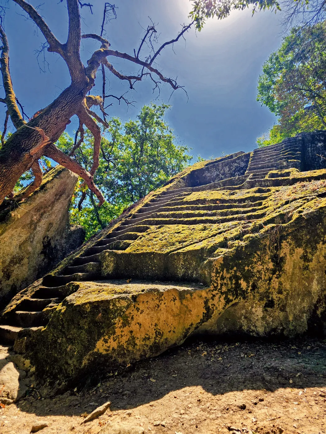 Il masso della piramide etrusca di Bomarzo visto di lato, con le scalinate scavate e i rami secchi sopra