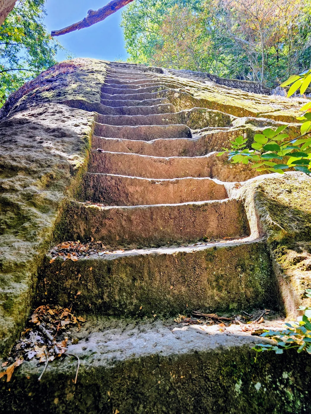 I gradini scavati nel grande masso di peperino della piramide di Chia, detta anche piramide etrusca di Bomarzo, nel bosco