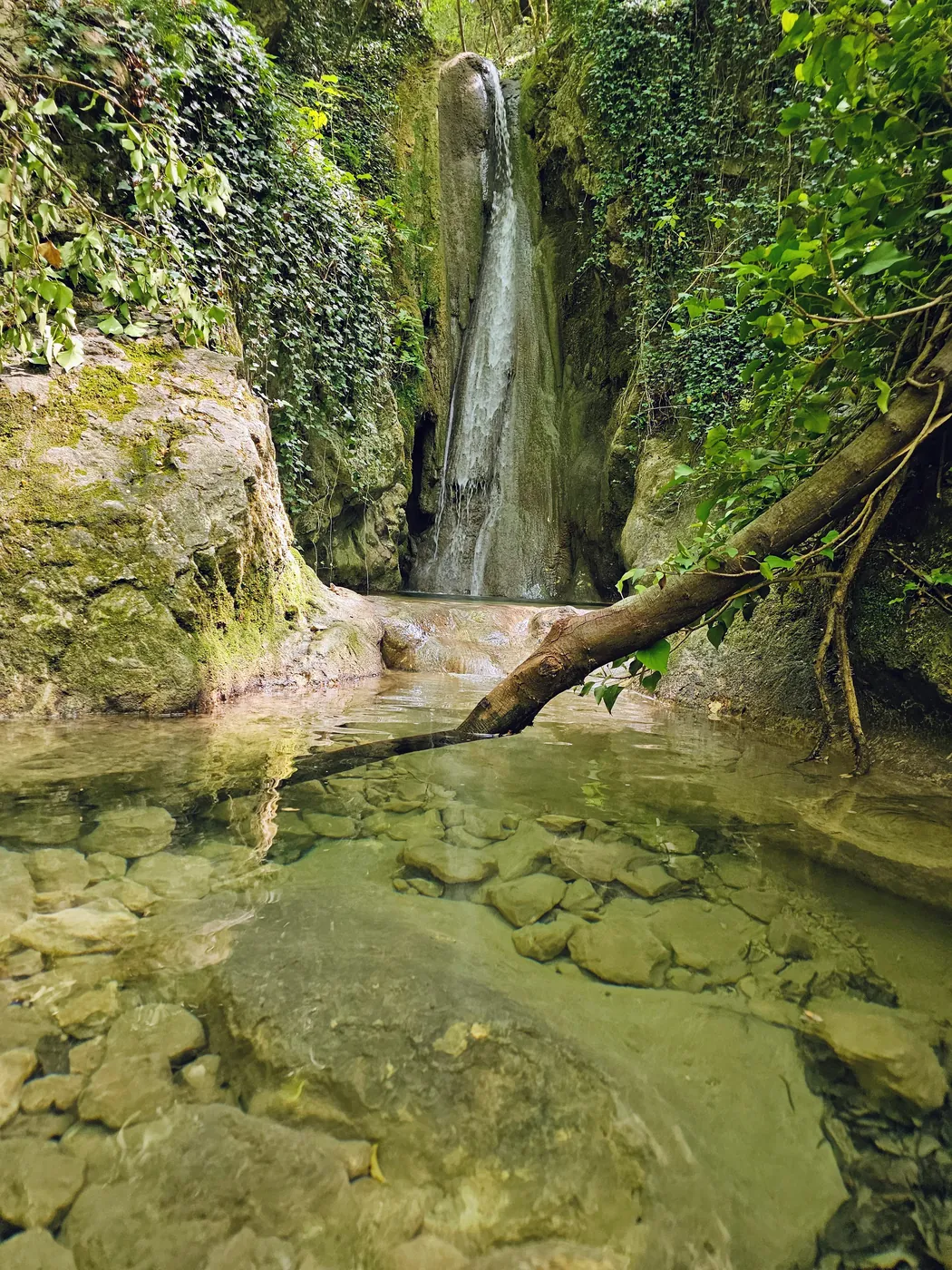 Una sottile cascata scende in una gola verde di muschio e felci, sopra una pozza d'acqua limpida