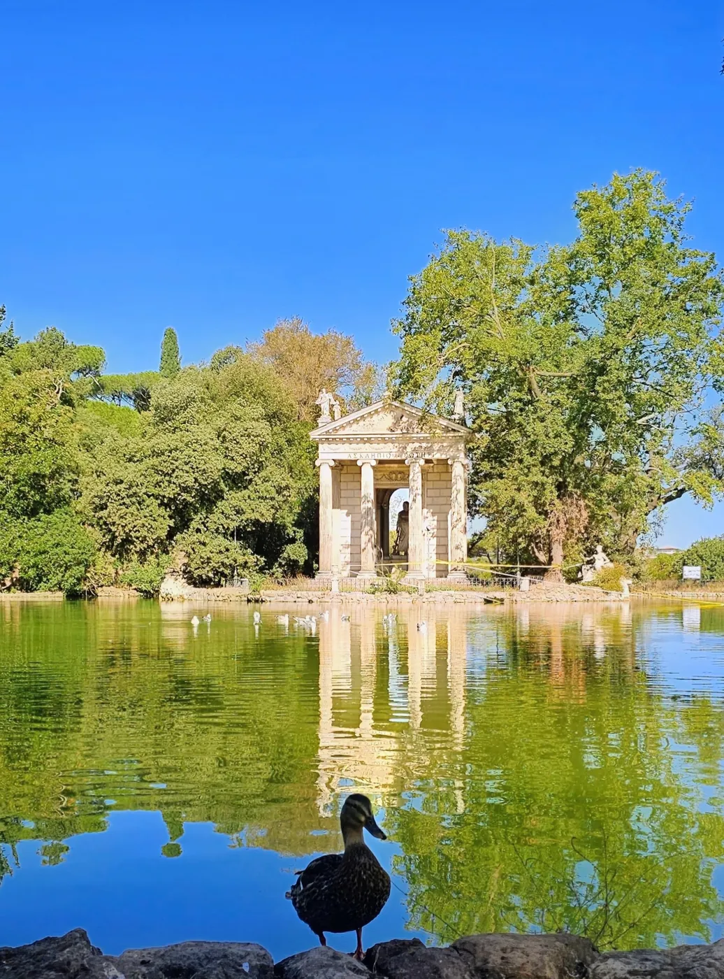 Il tempietto di Esculapio sull'isola del laghetto di Villa Borghese, riflesso nell'acqua, con un'anatra in primo piano